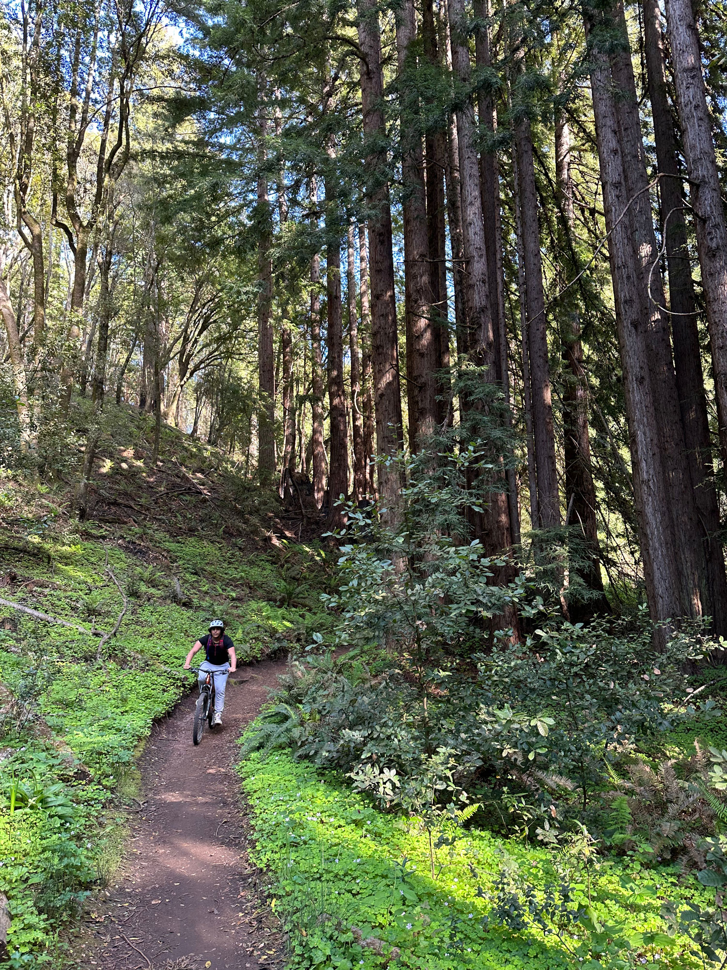 Riding High: How Mountain Biking Boosts Mental Health | KARBON BIKES